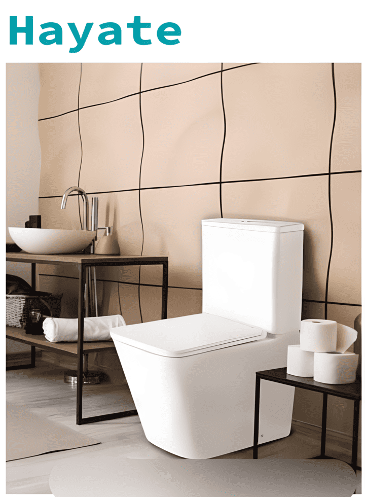 Sanitarios dusl - Imagen 2
